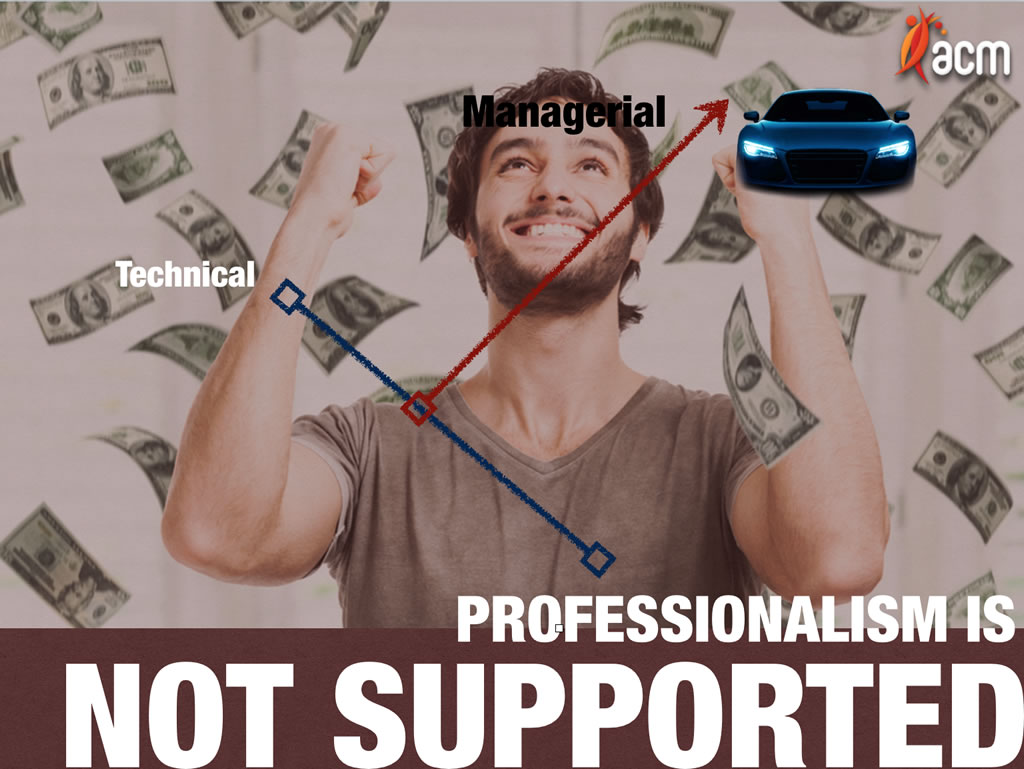 Software Development Profession