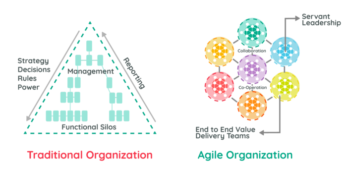 Agile Organization