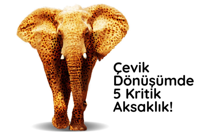 cevik-donusumde-5-kritik-aksaklik