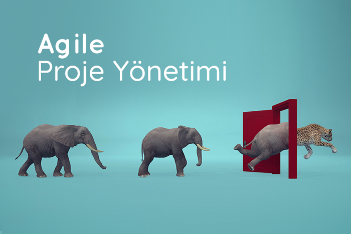 Agile Proje Yönetimi