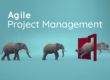 Agile Project Management