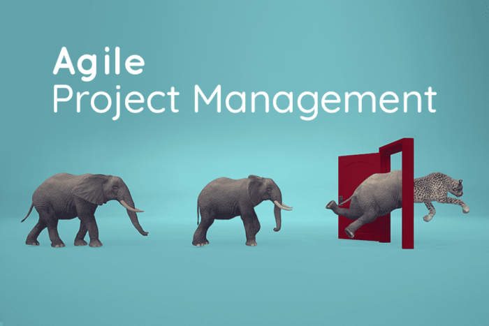 Agile Project Management