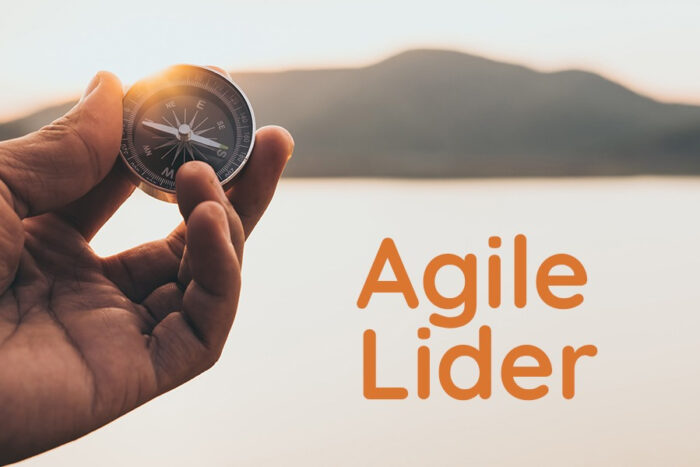 Agile Lider - Blog