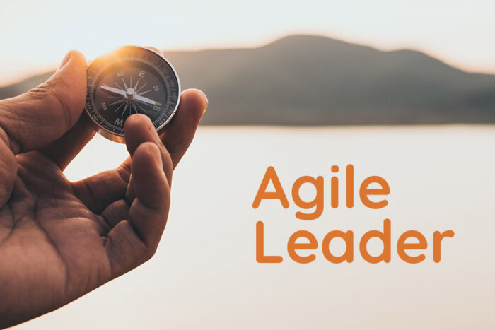 blog-agile-leader Agile Leader - ACM Blog